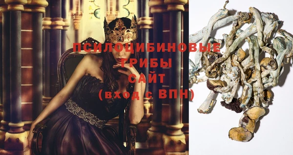 героин Лагань